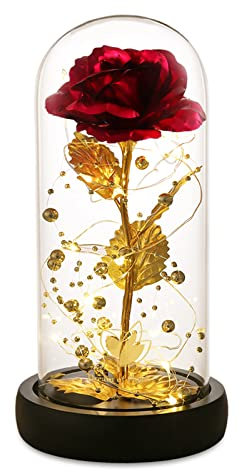 Zimous Beauty and The Beast Rose Set Galaxy Rose Artificial Flower Gold Rose Valentine's Day Thanksgiving Mother's Day Christmas Girl Birthday Gift (24k red Rose)