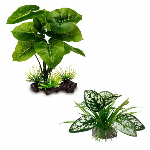 Moonorange Reptile Artificial Plants, Terrarium Plants Decorations Supplies, Aquarium Fish Tank Plant, Amphibian Habitat Hideout Tank Accessories (M Set-2pcs/D)
