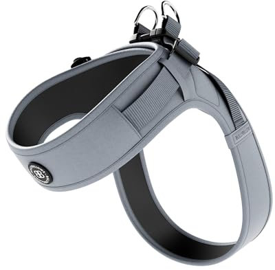 BullyBillows Boomerang Hundegeschirr leicht und Nicht einschränkend Einfach anzulegen und abzunehmen | Hochwertiges Hundegeschirr mit Klettverschluss | Grau | Klein