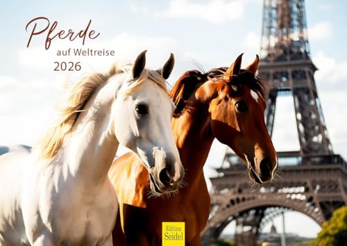 Edition Seidel Premium Kalender Pferde auf Weltreise 2026 Format DIN A4 Wandkalender Pferdekalender Tiere Fohlen Stute Hengst Reise