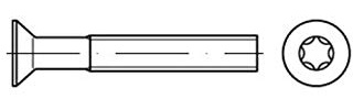 ISO 14581 Senkschrauben mit Innensechsrund 08.8 M 4 x 10 -T20 galvanisch verzinkt gal Zn S 500 Stk