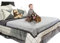 Catalonia Classy wasserdichte Decke, Wasserdicht Hundedecke Waschbar Sofaschutz Couch Überwurf, Wasserdicht Liebesdecke Flauschig Kuscheldecke Bettschutz Tagesdecke,203 x 229cm