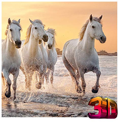 KE - Hochwertiger 3D-Magnet für Kühlschrank, Whiteboard und Büroschränke, 70x70mm, langlebig und attraktiv - Motiv: Pferde