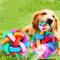 Rolin Roly 2PCS Leuchtend Glow Ball Blinkender Hundeball-Spielzeug Dog Ball Hundebälle Gummibälle mit LED Licht Spielball für Hunde Bissfest Hundespielzeug Ball