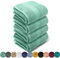 LEBENGOOD Grand Ensemble de Serviettes de Bain, Douche, Coton Premium, 550 g/m², 4 pièces (90x170), Extra Douces, absorbantes et résistantes(4 90X170 Aqua)