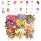 320 Stück Blumen Sticker Scrapbooking Blumen Aufkleber Set Vintage Geprägte Aquarell Aufkleber PET Transparente Pflanzen Blumenaufkleber Bunte Stickers Scrapbooking für Fotoalben DIY Karten