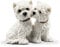 SY-Home Paar Statue Skulptur, Harz Simulation West Highland White Terrier Hundeskulptur Modell Auto Dekoration Hausgarten Handwerk Dekoration 3,5 * 2,7 * 3,7in