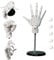 Handmodell, Handmodell 1:1, bewegliche Schaufensterpuppenhand, bewegliches Gelenk, 16 x 8 Zoll, Gliederhand mit Sockel, DIY PVC ABS-Handmodell zum Zeichnen, Malen, Skizzieren, weiße Schaufensterpuppen
