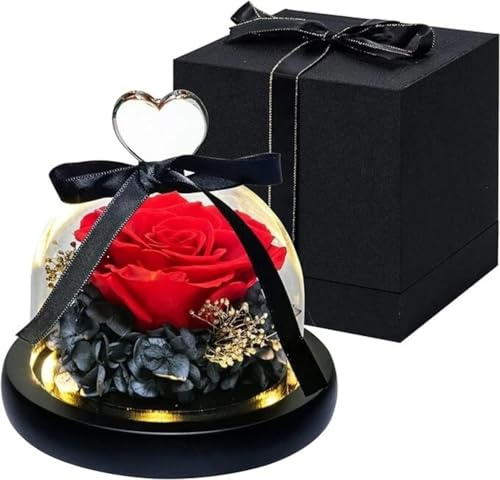 Dzmelzu Ewige Rose im Glas, Ewige Rose mit einer Geschenk Box als Geschenke für Frauen, Mutter, Freundin, Mädchen, Konservierte im Glas für Geburtstag, Jahrestag, Hochzeit (Rot 1)