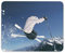 Ski-Sprung Mauspad Pad - Skifahrer Skifahren Wintersport Schnee Computer-Geschenk # 12459