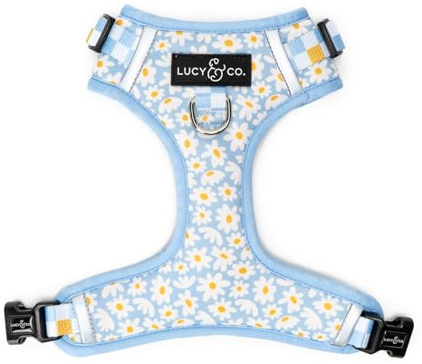 Lucy & Co. The Simply Splendid Hundegeschirr gegen Ziehen, Größe S, Weste gegen Ziehen und Spazierengehen, bequemes Trainingsprodukt mit verstellbaren Brust- und Nackengurten
