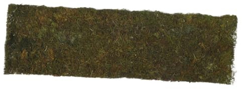 Hemobllo Tapis Herbe Artificiel pour Intérieur Et Extérieur Mousse Décorative pour Terrariums Et Enclos De Reptiles Gazon Synthétique pour Jardinières Et Aménagement Paysager