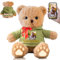 FAHOXUMR Personalisierte Geschenke Teddybär mit Schleife für Sie Ihn, Personalisierte Plüschtiere Bär mit Text+Foto als Besondere Geschenke für Valentinstag Weihnachten Geburtstag (30cm-Text+Foto)