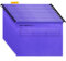 Srvnpioy A4 Suspension Files with Tabs and Card Inserts for Filing Cabinets (Pack of 12, Purple) Polypropylene A4 Hanging Filing Storage Folders for Office Home School