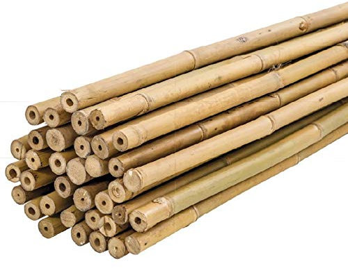 Bricomed Tutor de Bambu Natural para Plantas 180cm Pack 10uds
