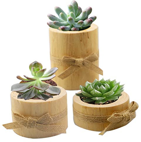 Abaodam 3 Pz Bomboniere Per Gli Invitati Mini Vasi Per Piante Grasse in Legno Candeliere in Legno Candelabri in Legno Piccoli Vasi Succulenti Porta Candele Di Legno Toni Della Regalo
