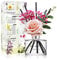 COCODOR Rose Raumduft Reed Diffuser mit 5 Duftstäbchen 200ml -, Natürlich, Langanhaltend, Home Duft ätherisches Öl Reed Diffusor für Badezimmer Regal Dekoration