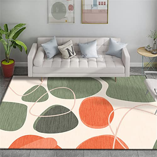 DJHWWD Bedroom Carpet multicolor out door rug Garden Rugs 170x240cm Modern Children's Bed Entrance Mat rugs bedroom