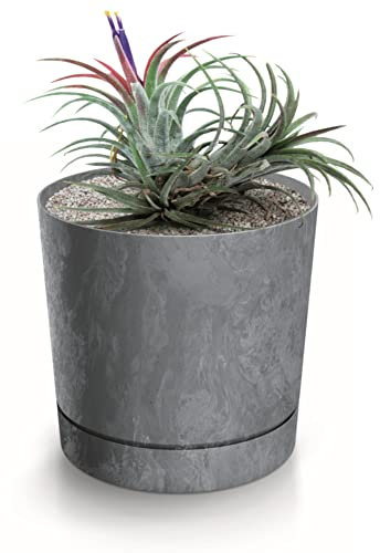 botle Blumentöpfe rund Kunststoff Betonoptik Pflanztöpfe dunkel Grau Untersetzer Anzuchttöpfe d 39 cm Pflanzkübel Sukkulenten, Kakteen, Kräuter Zimmerpflanzen deko Home Balkon Garten Büro