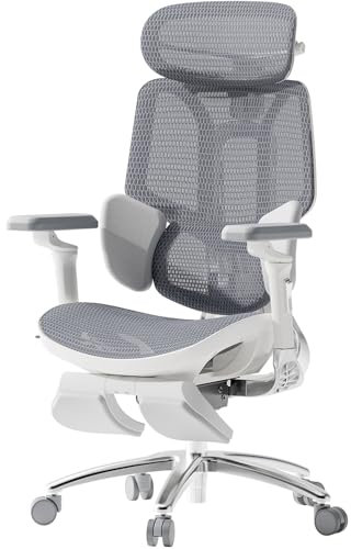 Hbada E3 Ultra Ergonomischer Bürostuhl, großer und hoher Bürostuhl – mit 3-Zonen-dynamischer Lendenwirbelstütze, 360° mechanischen Armlehnen, 4D-Verstellbarer Kopfstütze, Grau