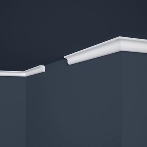 PROVISTON | Baguette en polystyrène | 22 x 25 x 2000 mm | Blanc | Barre de plafond | Recouvrable | Montage facile | Qualité supérieure | Stable et léger | 2 m