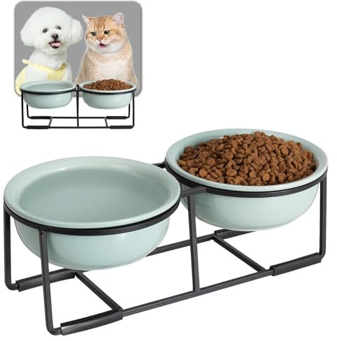 Ceramic Elevated Dog Bowl Set - Double Dog Bowls with Non-Slip Metal Stand - Raised Dog Food and Water Bowl Set - Dog Feeding Bowls - Pet Dishes for Puppies and Cats - 1 Cup - 13.5 fl oz - green