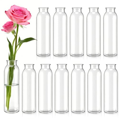 EXTRAPINS 12 Stück Mini Glasvasen