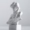 XMGZQ Weiß Aphrodite Statue Skulptur, Harz Griechische Mythologie Büste Statue, für Kokette Raumdekoration, Dark Academia Raumdekoration, Bücherregale, Partition, Couchtisch Mittelstück