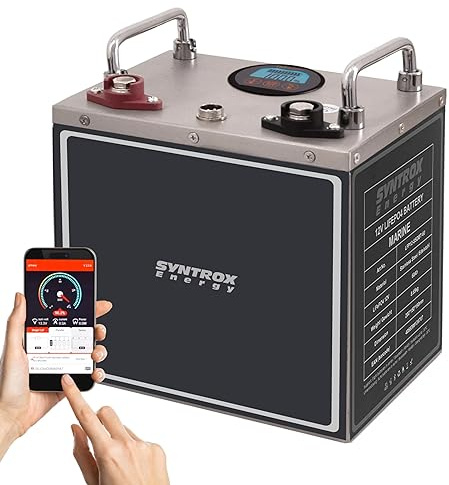 Syntrox Energy Lithium LiFePO4 Batterie, Frostsichere Wohnmobil Batterie 12V, Edelstahlgehäuse, Geringes Gewicht, Hoher Endladestrom (60Ah)