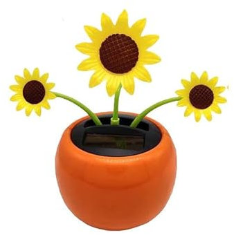Tournesol Solaire vacillant