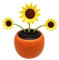 Solar-Wackelblume Sonnenblume