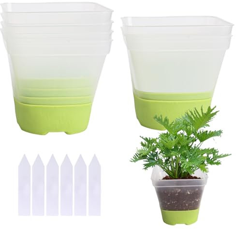 Trendecor Lot de 6 pots de culture, transparents, avec socle en silicone, 8 cm, avec 6 étiquettes de plante, réutilisables, en plastique, pour plantes succulentes, semis et semis
