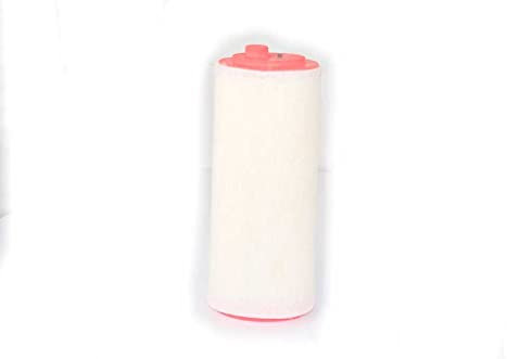 BSG 15-135-005, Filtro Aria compatibile con (E46-E87-E90-E91-E60-E61-X3 E83 FREELANDER 1 M47N-M47N2-2.0 Td4 06-10, 13712246997, LR007478)