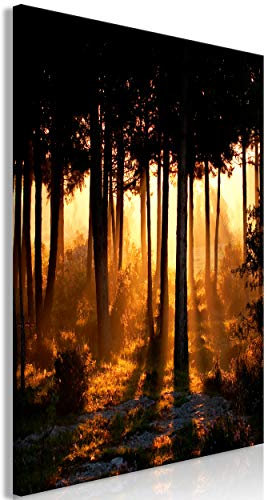 decomonkey Bilder Wald 80x120 cm 1 Teilig Leinwandbilder Bild auf Leinwand Vlies Wandbild Kunstdruck Wanddeko Wand Wohnzimmer Wanddekoration Deko Natur Baum