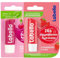 Labello Strawberry Shine & Cherry Shine Lippenbalsam 4,8 g Mix von Gusti – angereichert mit natürlichen Ölen, Lippenpflege und langanhaltender Feuchtigkeit für 24 Stunden