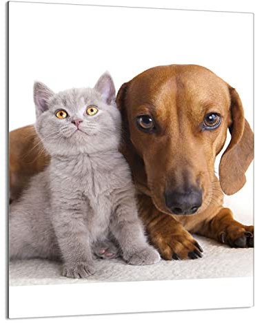 DarHaus Herdabdeckplatte einteilig 40x52 cm Ceranfeld Abdeckung Glas Spritzschutz Abdeckplatte Glasplatte Herd Ceranfeldabdeckung Deko, Katze Hund