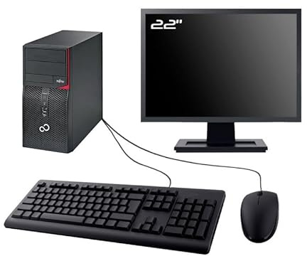 PC Fujitsu P556 Tower Monitor 22 Intel I3-6100 RAM, 16 GB SSD, 480 GB, W11 WiFi (Ricondizionato)