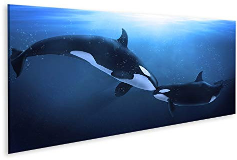 islandburner Bild auf Leinwand Orcas Wale In Der Tiefsee Wal Bilder Wandbilder Poster