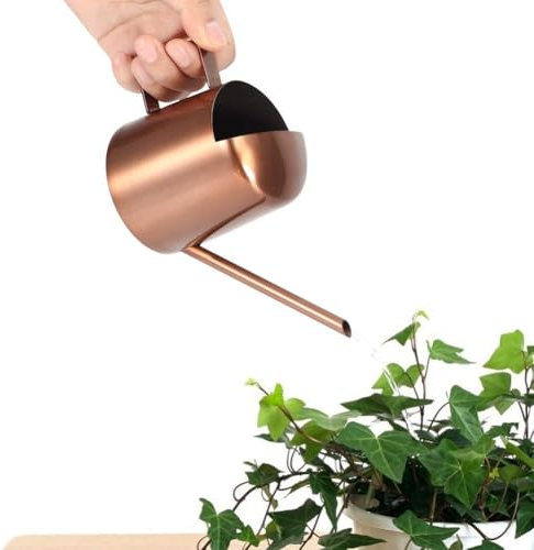 Gsycle Mini Regadera, Regadera De Acero Inoxidable De 300 Ml, Mini Regadera para Plantas, Regadera Pequeña, Regadera para Bonsái para El Hogar