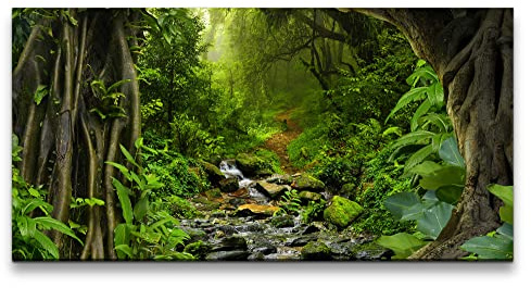 Paul Sinus Leinwandbild 120x60cm Grüner Wald Bach Natur Wasser Leben Pflanzen