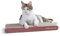 AMZNOVA Katzen Kratzpappe Rescratch Katzen Kratzbrett, Kratzpappe mit Katzenminze, Kratzbrett Kratzbretter Katzenkratzbrett, Schmal, Bodendruck