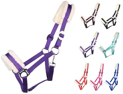 NETPROSHOP Solides Pferdehalfter gepolstert und verstellbar Gr. Mini Shetty bis Full u Kaltblut, Groesse:Mini Shetty, Farbe:Lila