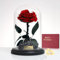 Rosa eterna en cristal con LED, rosa infinita real en una cúpula de cristal con una caja de regalo, flores conservadas para mujeres, mamá, abuela, novia, día de la madre, día de San Valentín, Navidad