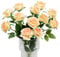 Kisflower 12Pcs Rosen Künstliche Blumen Realistische Einzelstielblumen Seidenrosenstrauß für Hochzeitsfeier Büro Home Decor (Champagner)