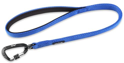 Lightweight Aluminum Alloy Hook Buckle, High-grade Upgraded Traffic Durable Nylon 24 inch Short Leash, with soft Neoprene Lining Handle, Professional Training (24 Inch Long, Bright Blue)
