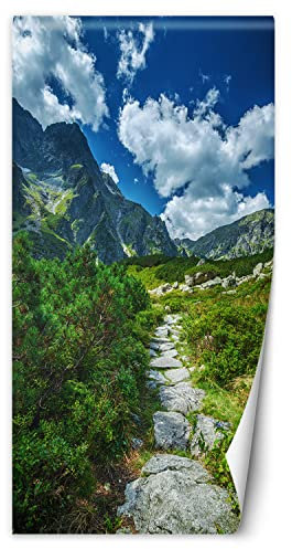 Feeby Türtapete Fototapete Felsen Trail Berge 100x200 cm Türposter Türpanel Vlies Tapete Wohnzimmer Schlafzimmer Kinderzimmer Büro Himmel Büsche Natur Grün