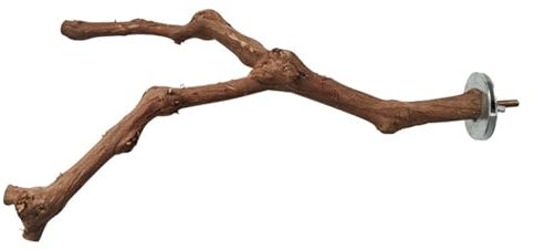 Perche de Raisin - Accessoire de Cage de Vigne Naturelle, Branche d'escalade en Bois d'oiseaux | Stick d'entraînement de l'exercice, Perche de Jouet à Mastication, Ornement de Cage pour Les caloches,