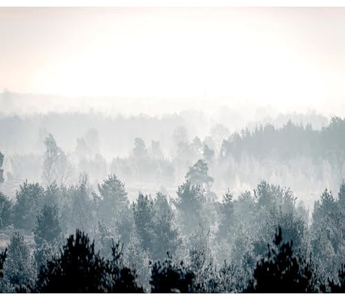 decomonkey Fototapete Wald Natur 400x280 cm XL Tapete Fototapeten Vlies Tapeten Vliestapete Wandtapete moderne Wandbild Wand Schlafzimmer Wohnzimmer Landschaft Baum Nebel