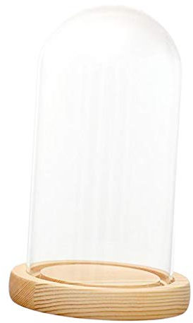 SM SunniMix Cúpula de Campana de Cristal con Base Luz Florero Hogar Boda Decoración, a 9x12cm