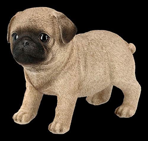 Figuren Shop GmbH Hunde-Figur - Mops Welpe | Tier-Figur, Deko-Figur, Deko-Artikel, Hunde-Welpe, Statue, Skulptur, H 11,5 cm